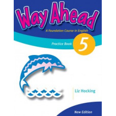 Грамматика Way Ahead 5 Grammar Practice Book
